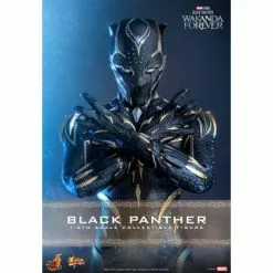 Black Panther - Hot Toys MMS675 Black Panther Wakanda Forever 1/6th Scale Collectible Figure
