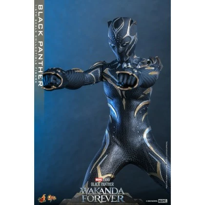 Black Panther - Hot Toys MMS675 Black Panther Wakanda Forever 1/6th Scale Collectible Figure 2 Black Panther - Hot Toys MMS675 Black Panther Wakanda Forever 1/6th Scale Collectible Figure - Image 2
