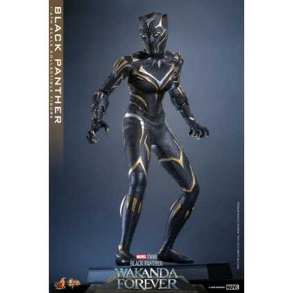 Black Panther - Hot Toys MMS675 Black Panther Wakanda Forever 1/6th Scale Collectible Figure 6 Black Panther - Hot Toys MMS675 Black Panther Wakanda Forever 1/6th Scale Collectible Figure - Image 6