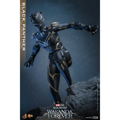 Black Panther - Hot Toys MMS675 Black Panther Wakanda Forever 1/6th Scale Collectible Figure 5 Black Panther - Hot Toys MMS675 Black Panther Wakanda Forever 1/6th Scale Collectible Figure - Image 5