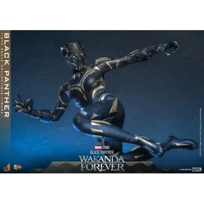 Black Panther - Hot Toys MMS675 Black Panther Wakanda Forever 1/6th Scale Collectible Figure 4 Black Panther - Hot Toys MMS675 Black Panther Wakanda Forever 1/6th Scale Collectible Figure - Image 4
